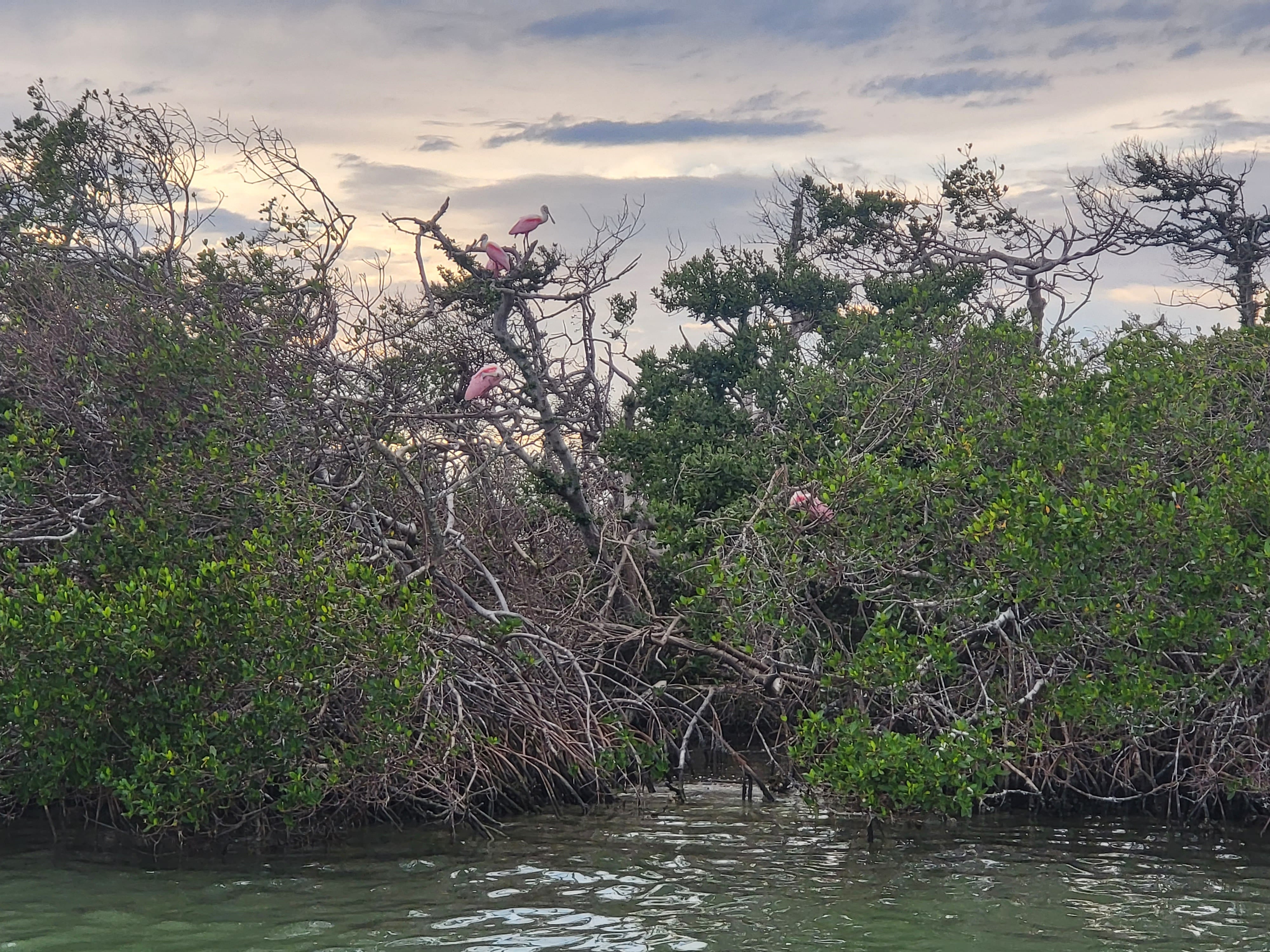 Englewood Boat Tours Offers Family Boat Tours in Englewood, FL 34224