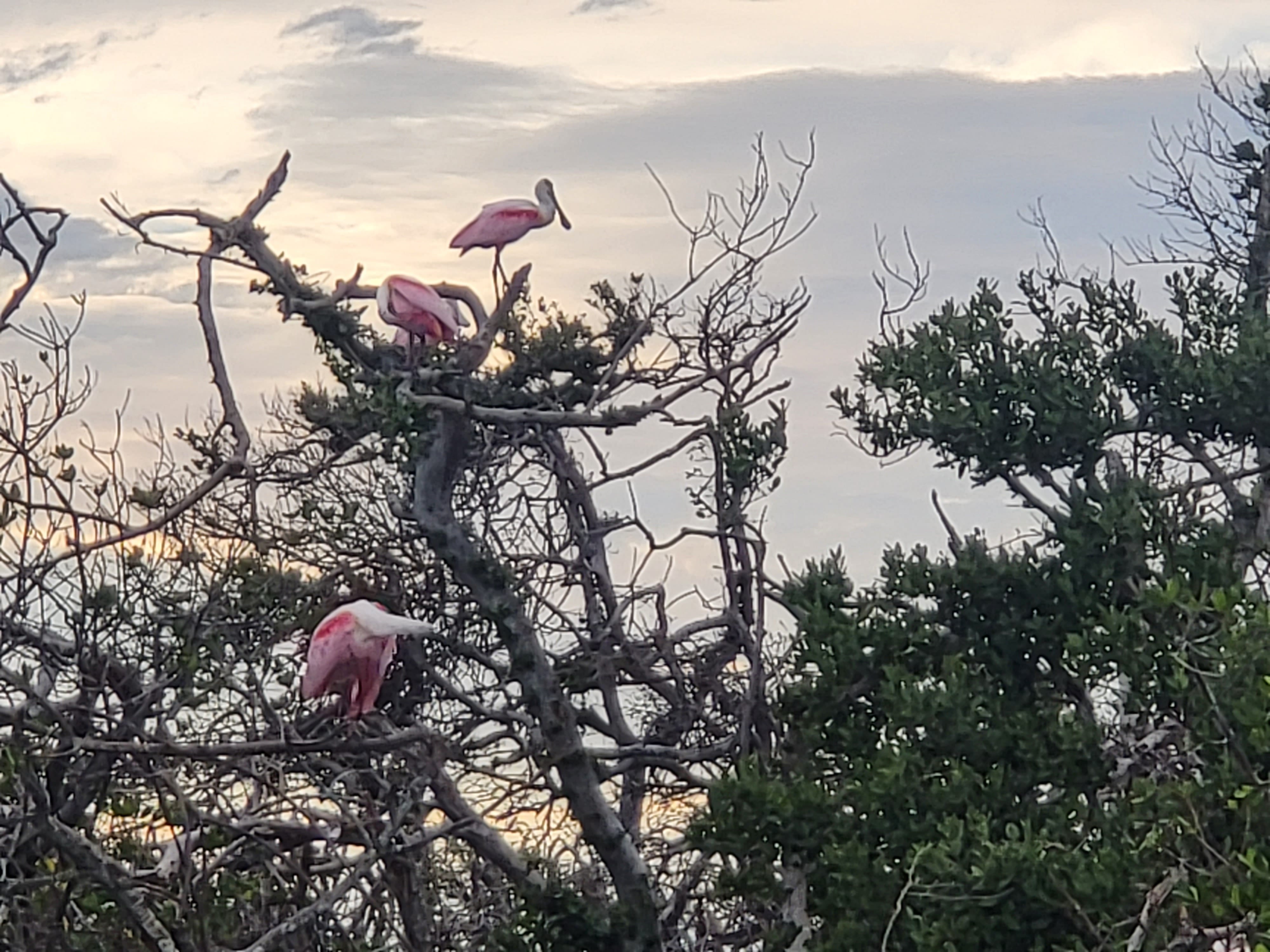 Englewood Boat Tours Offers Family Boat Tours in Englewood, FL 34224
