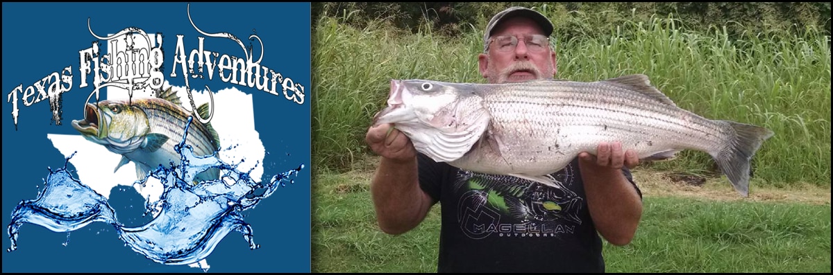 Striper Guide