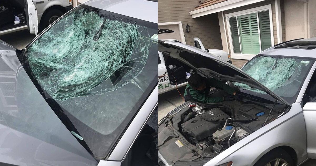 Gallery Velocity Auto Glass