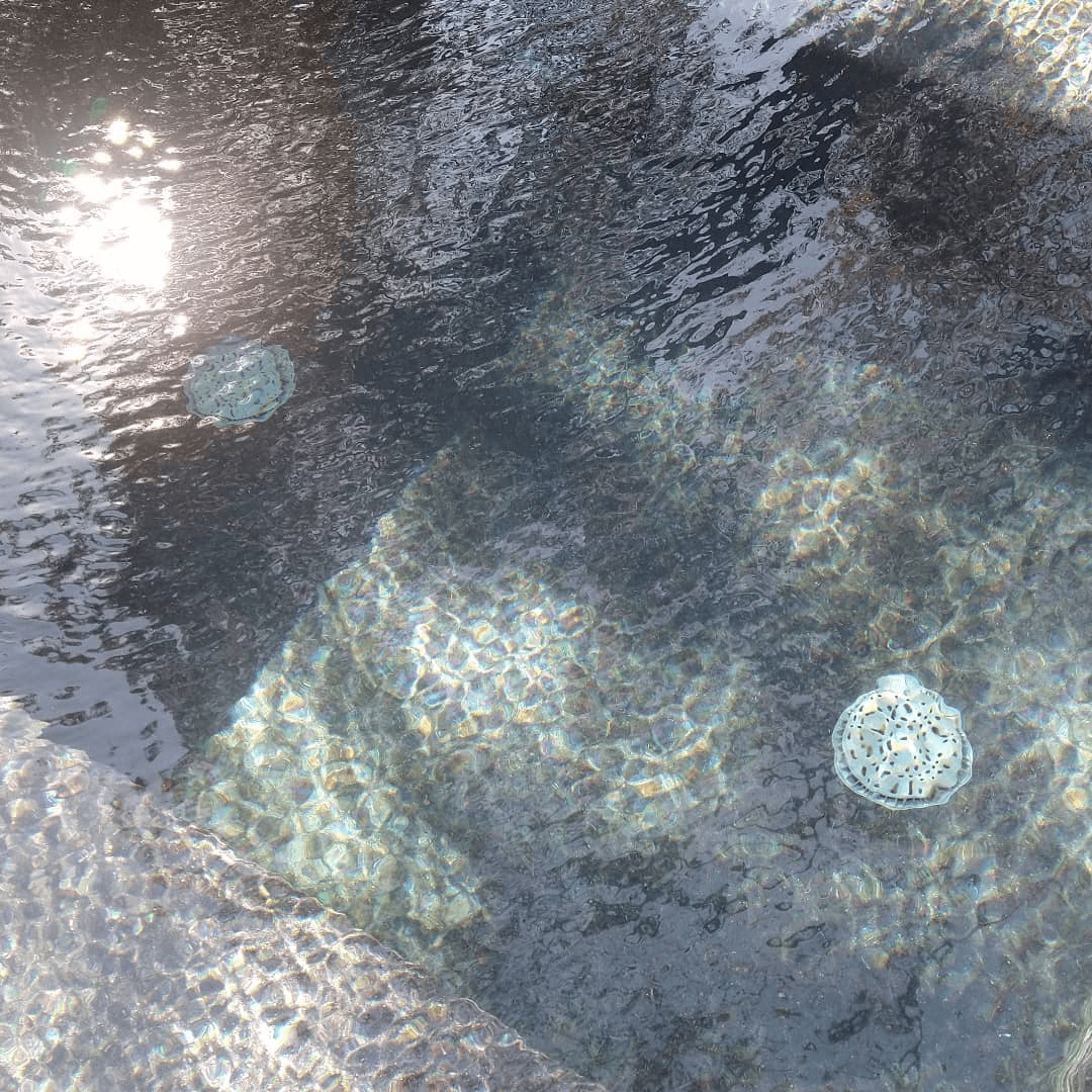 Pool Care by Tess Offers Commercial Pool Cleaning in Kingsland, TX 78639