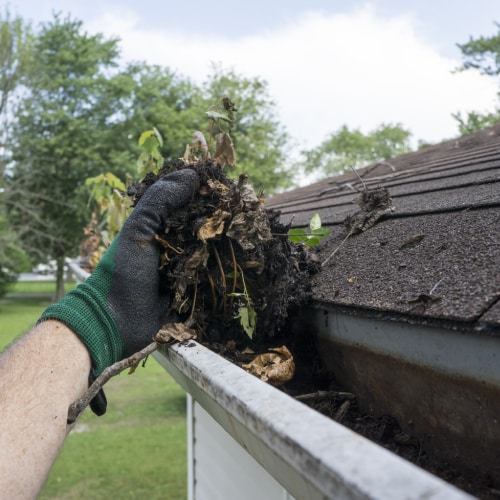 Gutter Cleaning
