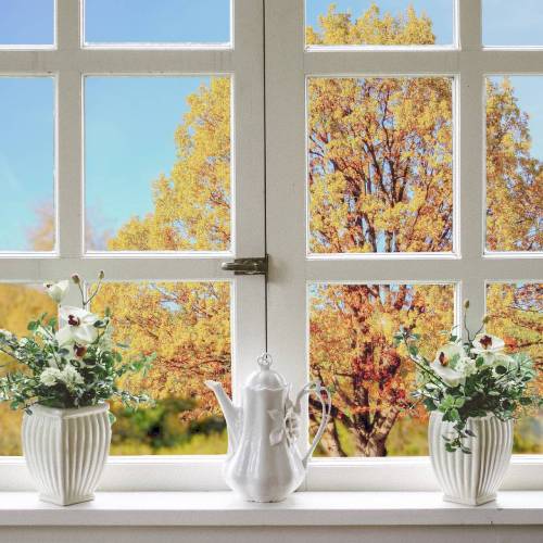 Toto Auto Glass Offers Glass Services in Seattle, WA 98199