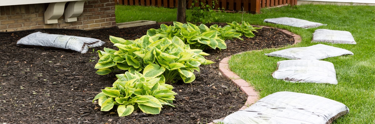 Landscape Design