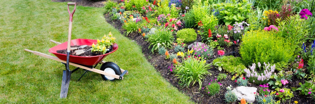 Gardening