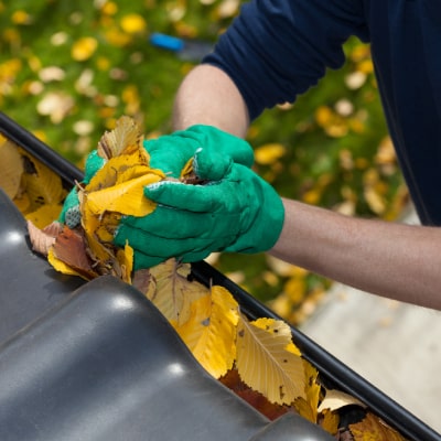 Gutter Cleaning
