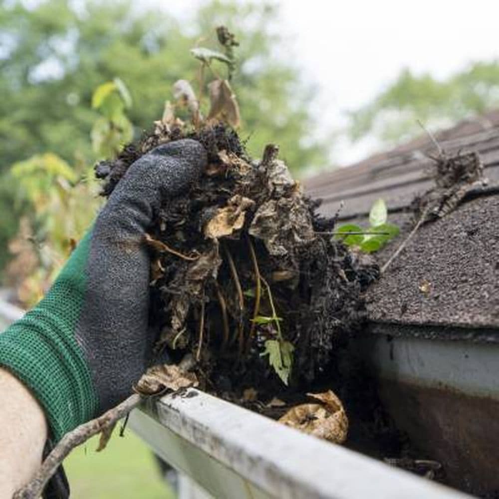 GUTTER CLEANING