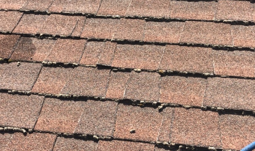 Apex Pressure Washing and Cleaning Solutions