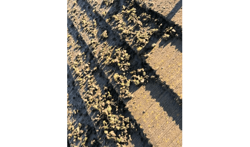 Apex Pressure Washing and Cleaning Solutions