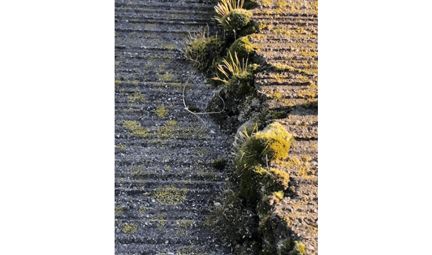 Apex Pressure Washing and Cleaning Solutions