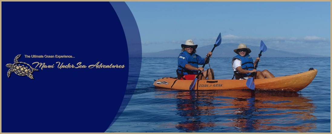 Kayak Rentals