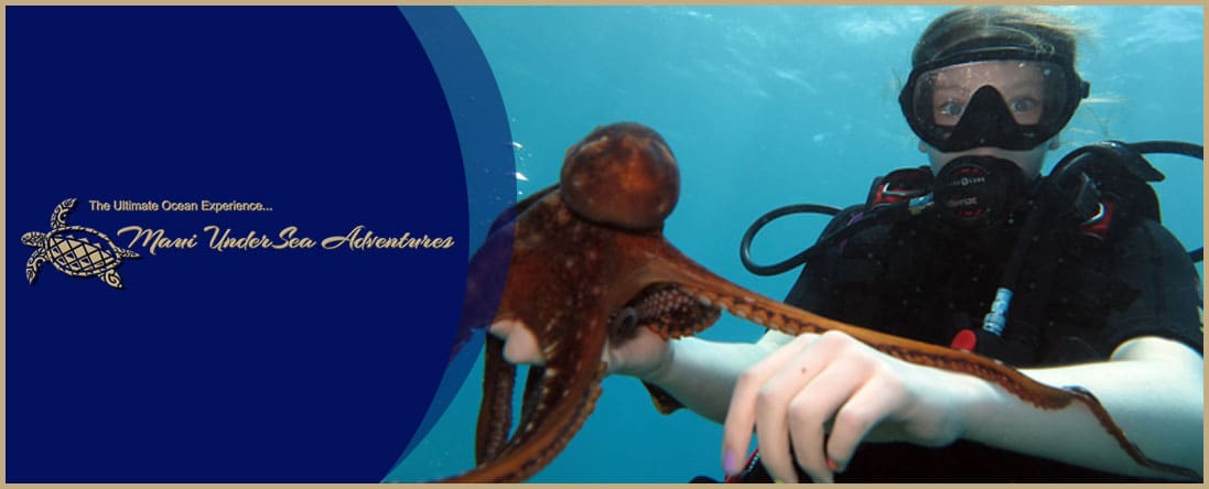 Scuba Diving