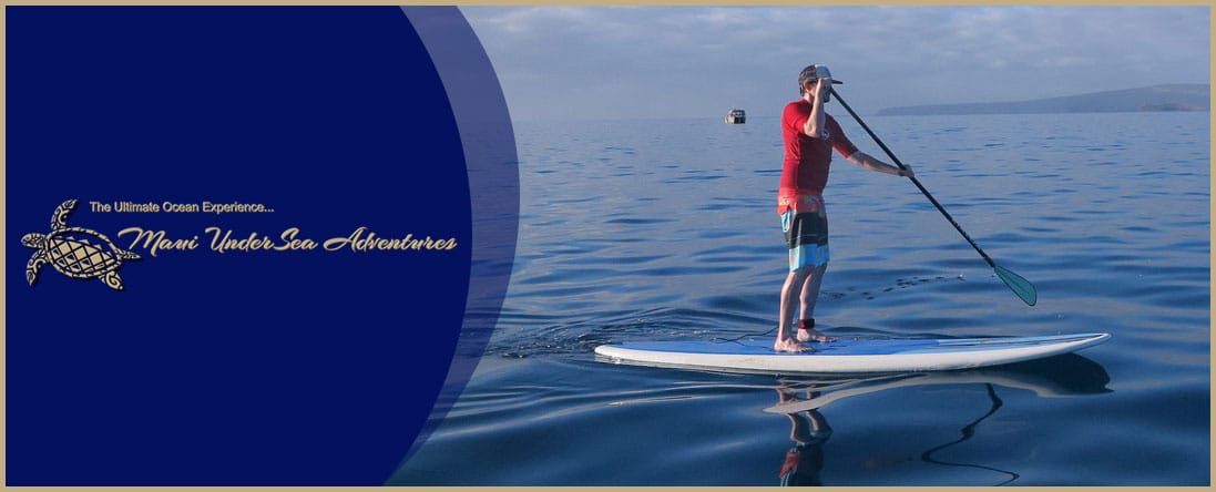 Paddle Board Rentals