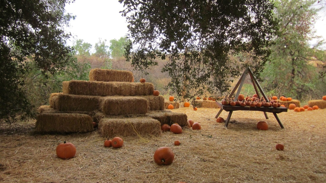 Wickerd Farm is a Christmas Tree Farm in Menifee, CA 92584