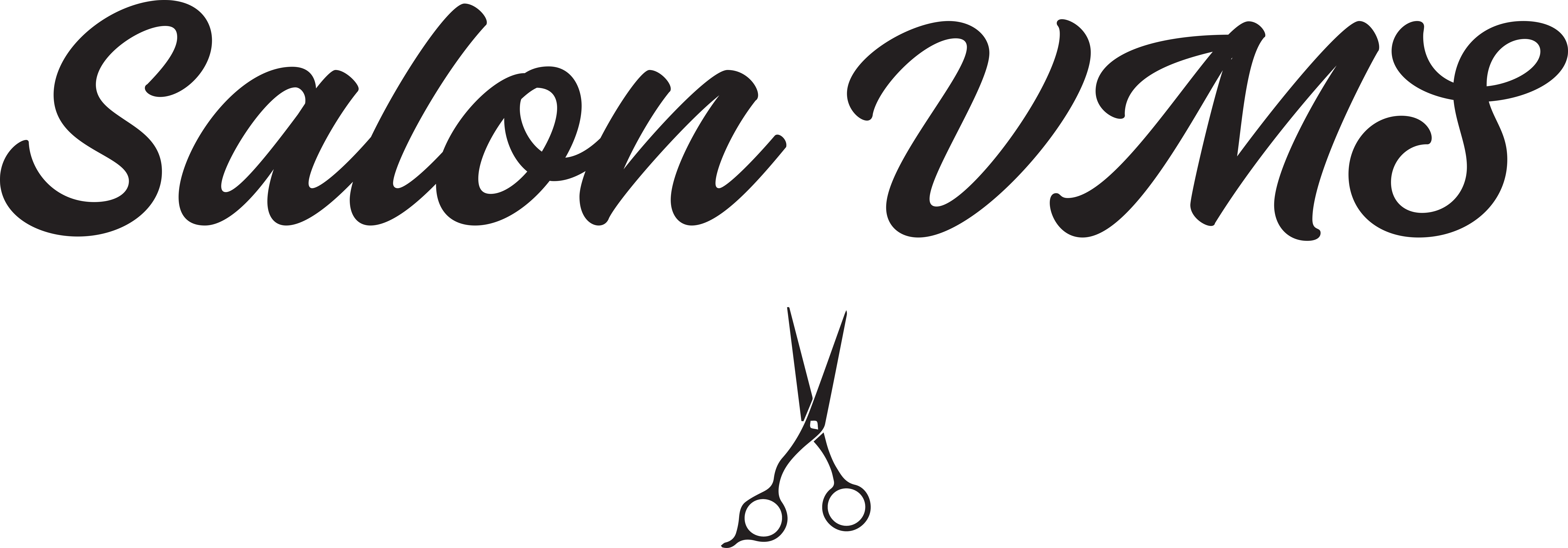 Salon VMS