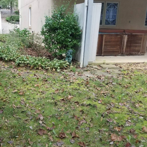 Property Maintenance