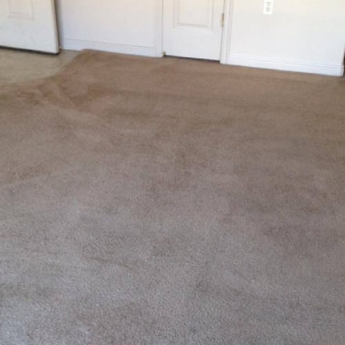 316 Carpet Cleaning Service is a Carpet Cleaner in St UT 84790