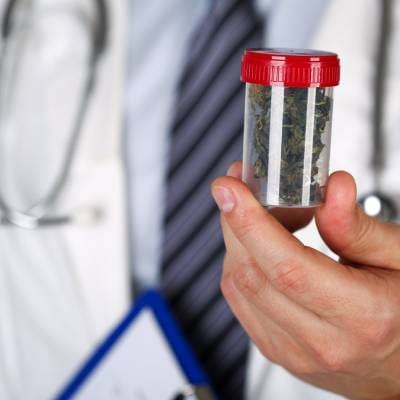 MARIJUANA DOCTOR SERVICES