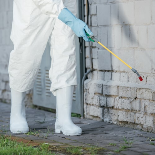 Pest Control Service