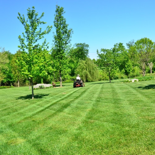 Landscaping Services
