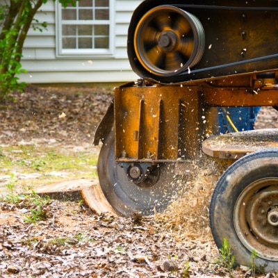 STUMP GRINDING
