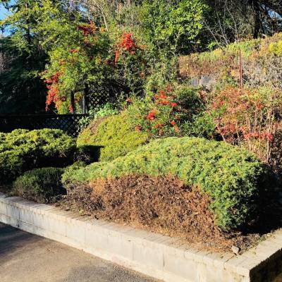 COMMERCIAL LANDSCAPING