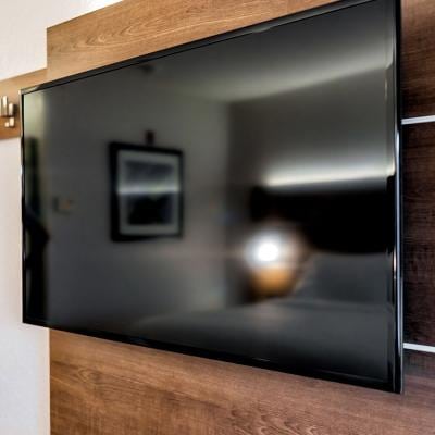 TV MOUNTING SERVICE 