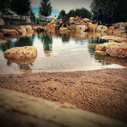 Custom Ponds