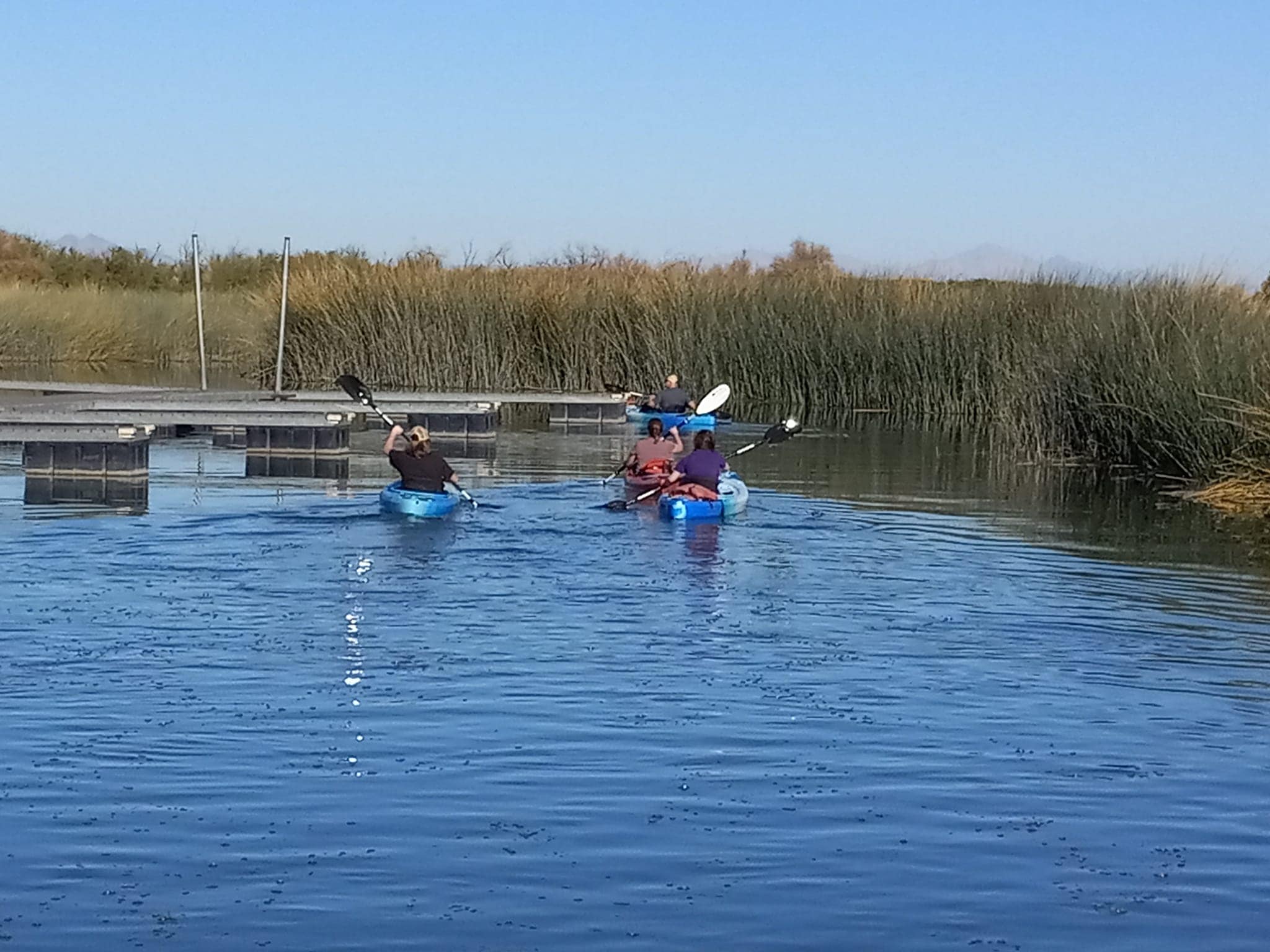 Western Arizona Canoe & Kayak Outfitters Offers Canoe Rentals in Lake