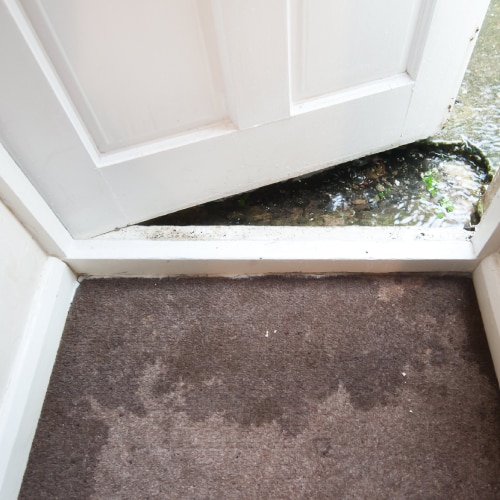 Water Damage Restoration