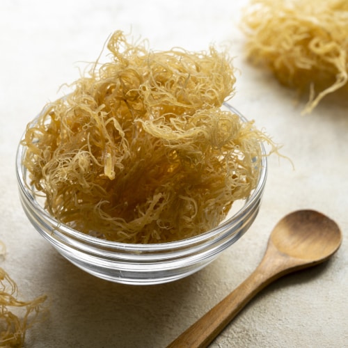 Sea Moss