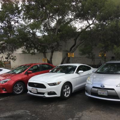 VEHICLE RENTALS