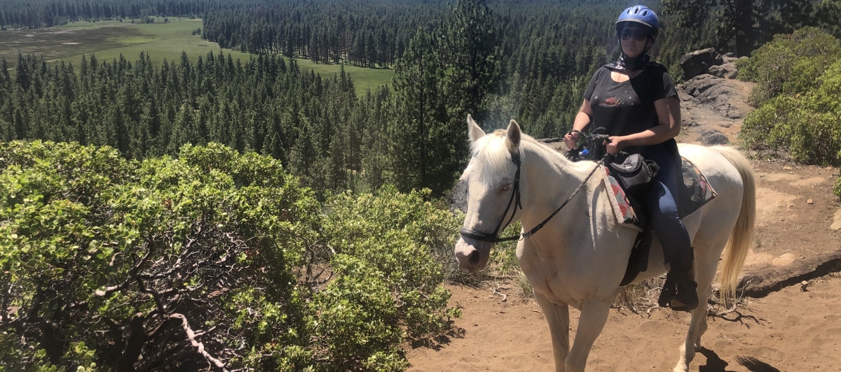 Horseback Riding Services