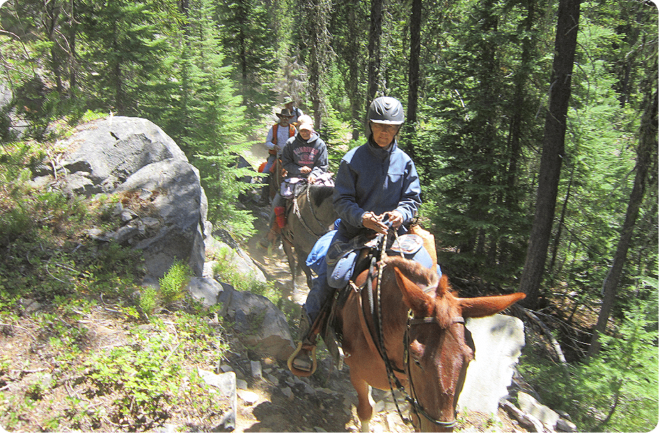 Horseback Riding Guide