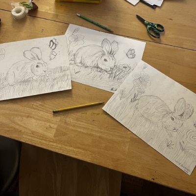 DRAWING LESSONS