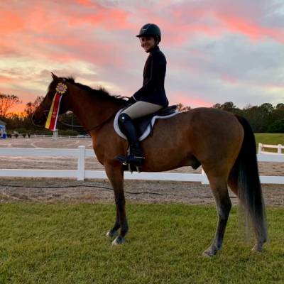 HORSE RIDING LESSONS