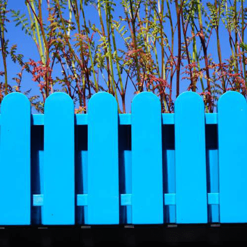 Fence Painting