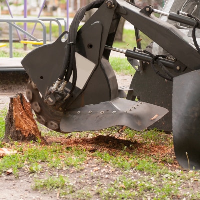 STUMP REMOVAL