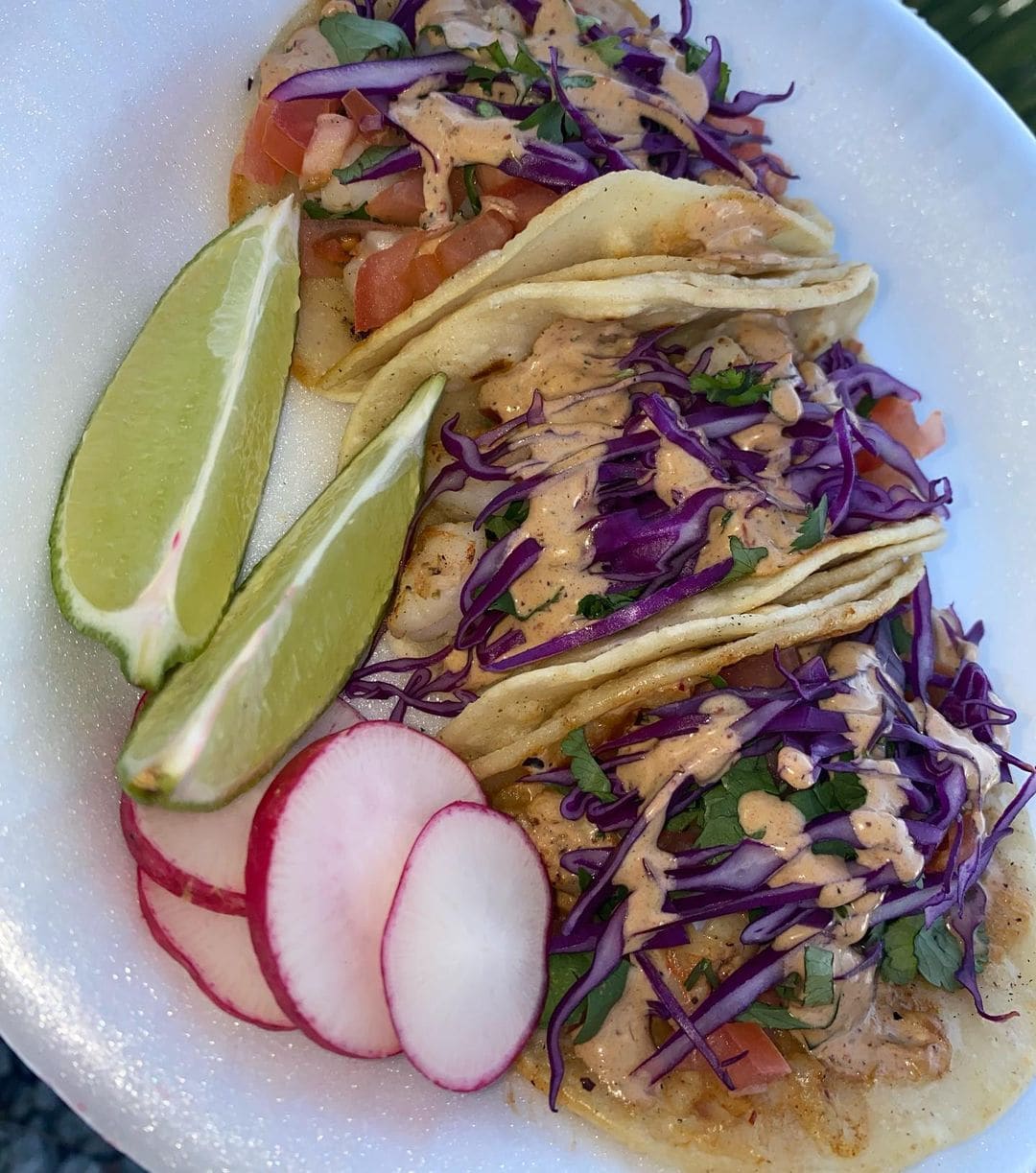 Guacamole Burrito Truck Serves Nacho Fries in Ceres, CA 95307