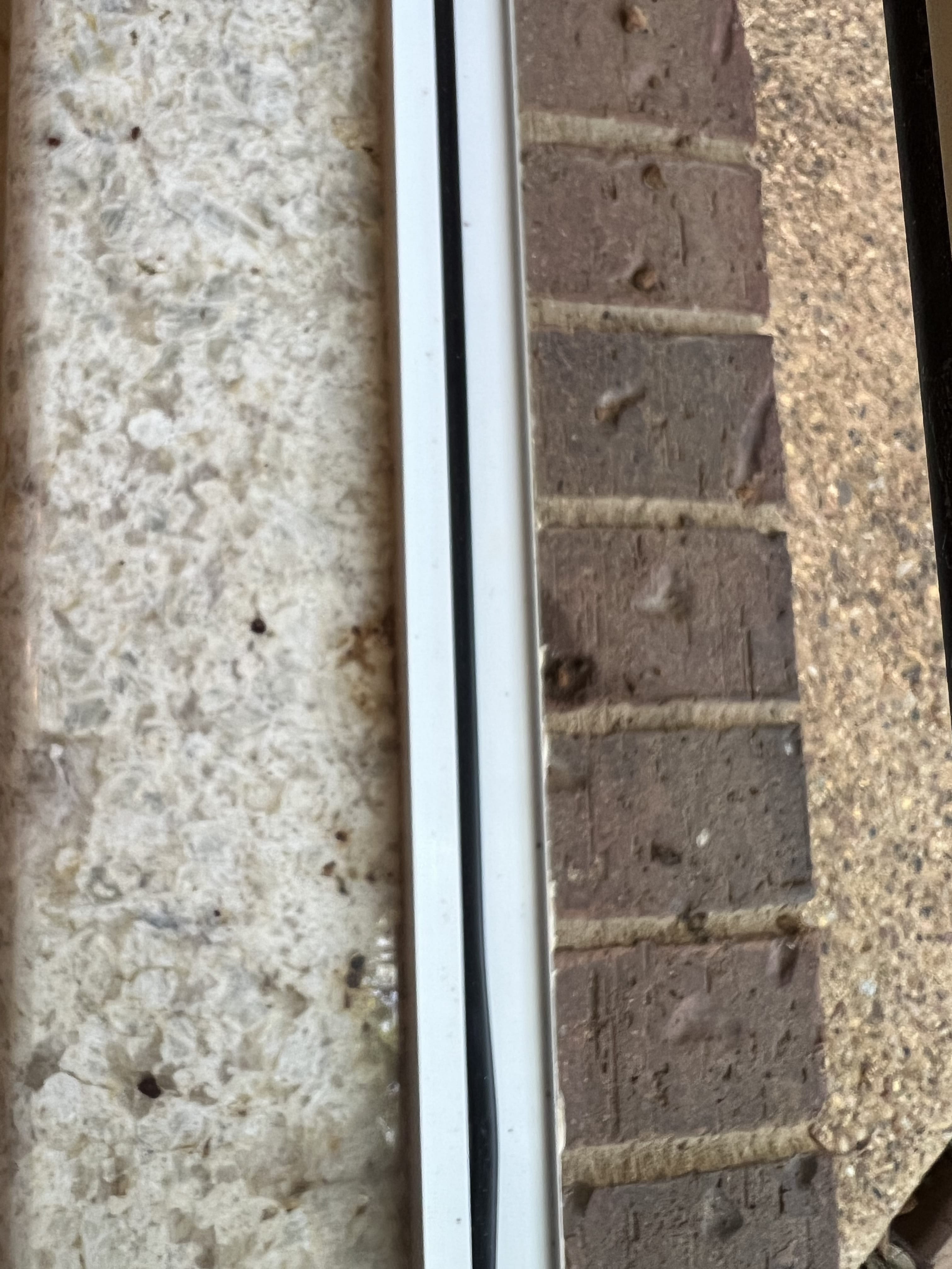 ROMO Home Cleaning Services Offers PostConstruction Cleaning in