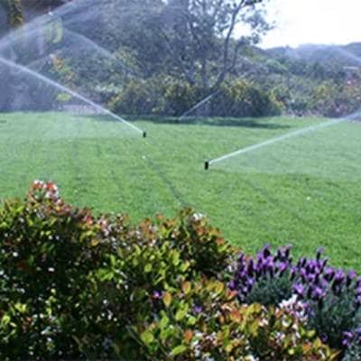 COMMERCIAL MAINTENANCE PLANS