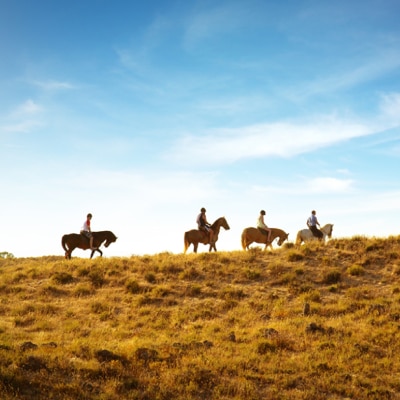HORSE RIDING SERVICES