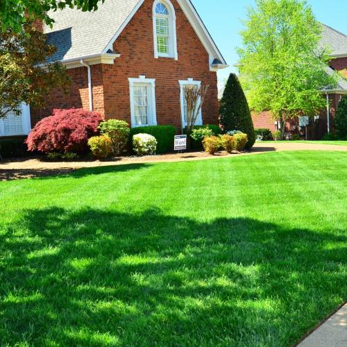 Lawn Maintenance