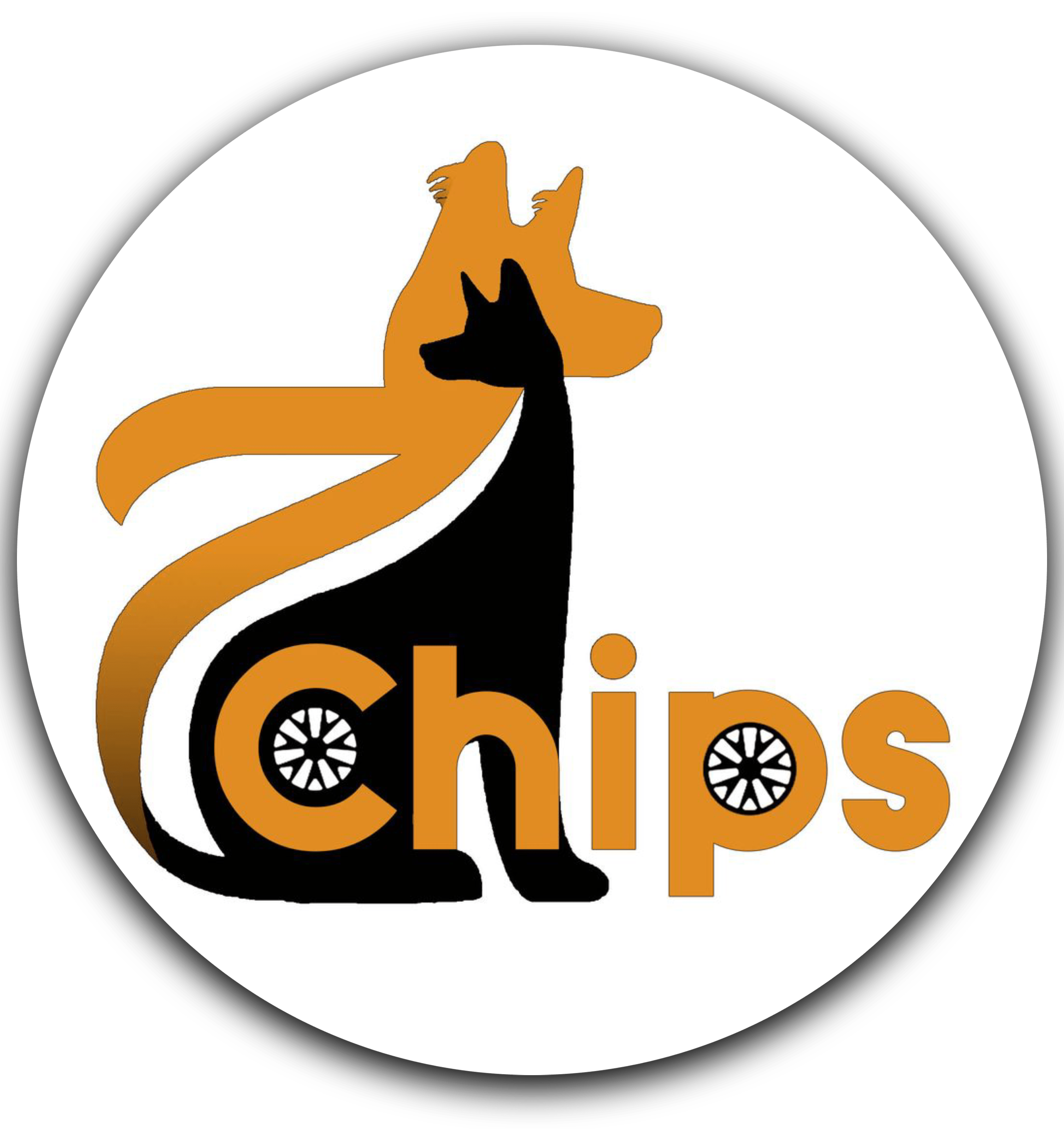 Seven Chips Transport and Tours 