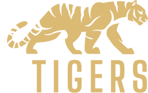 11 Tigers