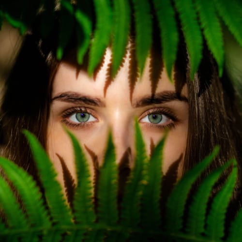 All About Eyes