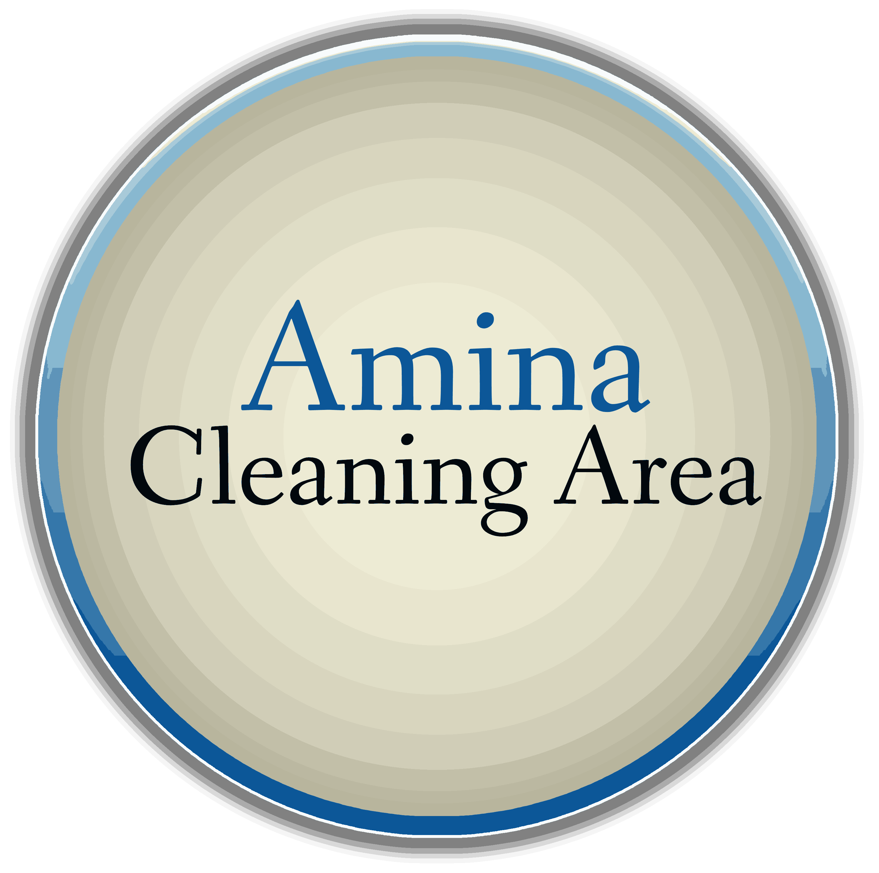 Amina Cleaning Area Offers Cleaning Services in Rochester, MN 55901