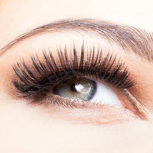 Eyelashes Services