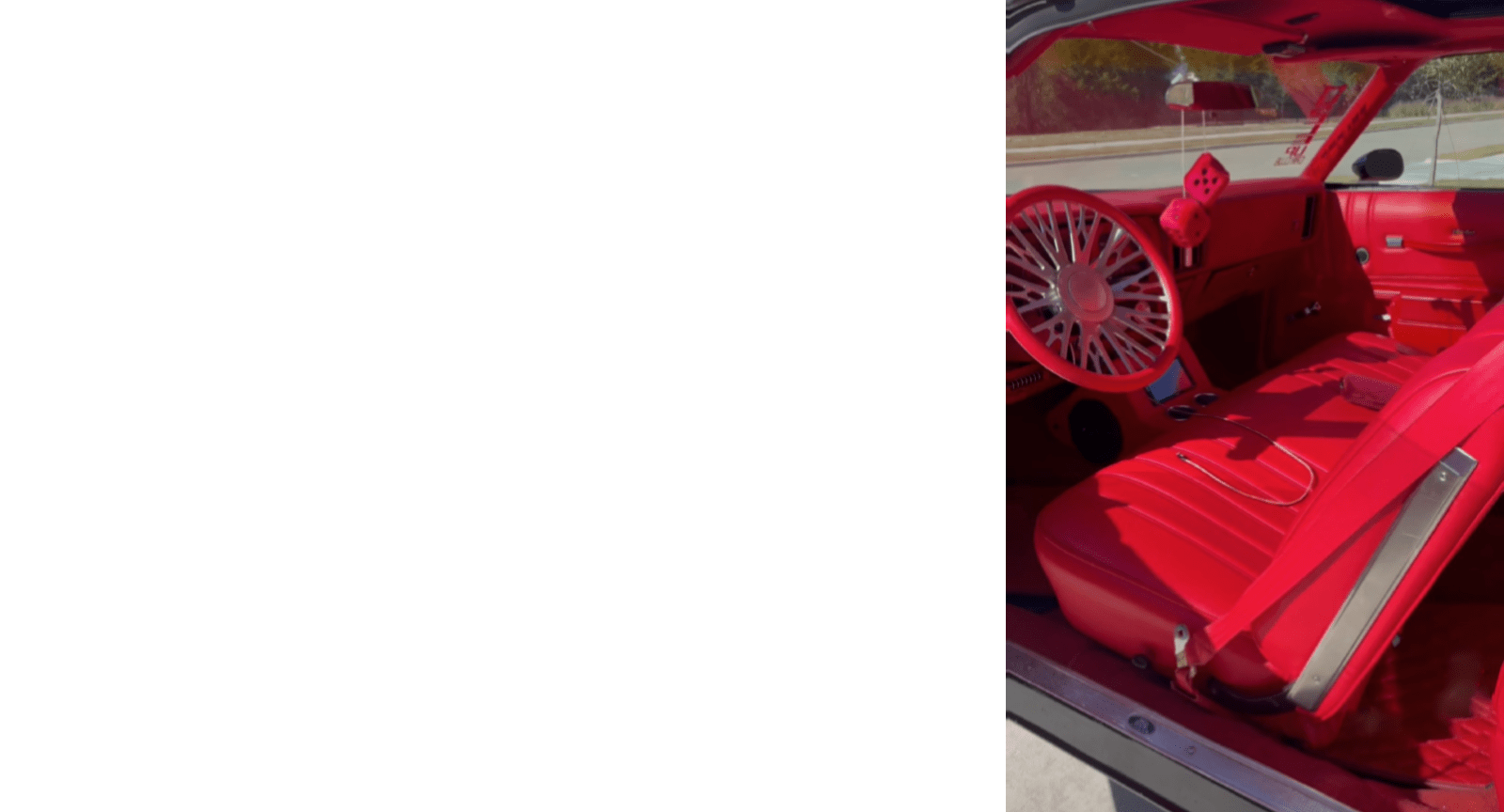 Primary Banner
