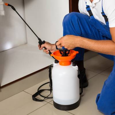 RESIDENTIAL INSECT CONTROL